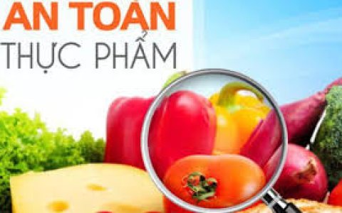 triển khai tháng An toàn thực phẩm trên địa bàn phường Bắc Sơn